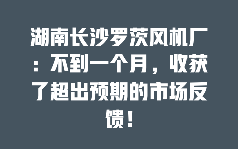 湖南長沙羅茨風機廠：不到一個月，收獲了超出預(yù)期的市場反饋！ 一