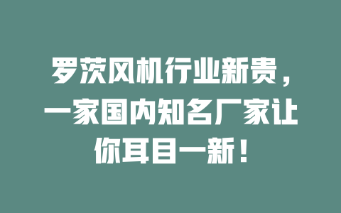 羅茨風機行業(yè)新貴，一家國內知名廠家讓你耳目一新！ 一