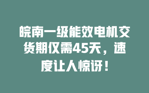 皖南一級(jí)能效電機(jī)交貨期僅需45天，速度讓人驚訝！ 一