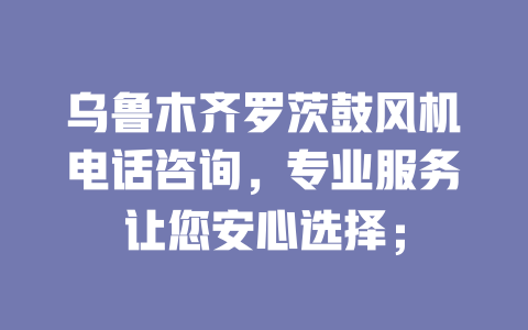 烏魯木齊羅茨鼓風(fēng)機(jī)電話咨詢，專業(yè)服務(wù)讓您安心選擇； 一